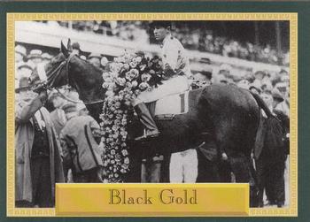 1993 Horse Star Daily Racing Form 100th Anniversary #31 Black Gold Front